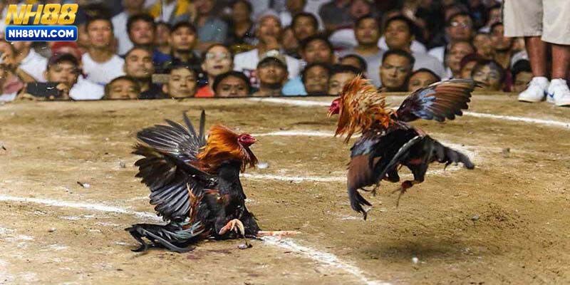 Danh sách cửa cược chi tiết là thông tin cần nắm rõ